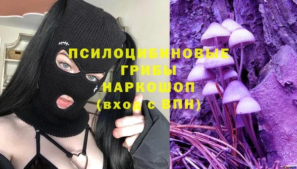 дурь Медногорск
