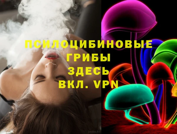 дурь Медногорск