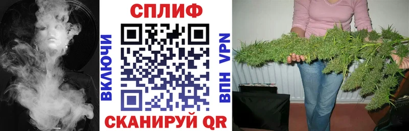 Купить где  Камешково  Шишки марихуана марихуана 